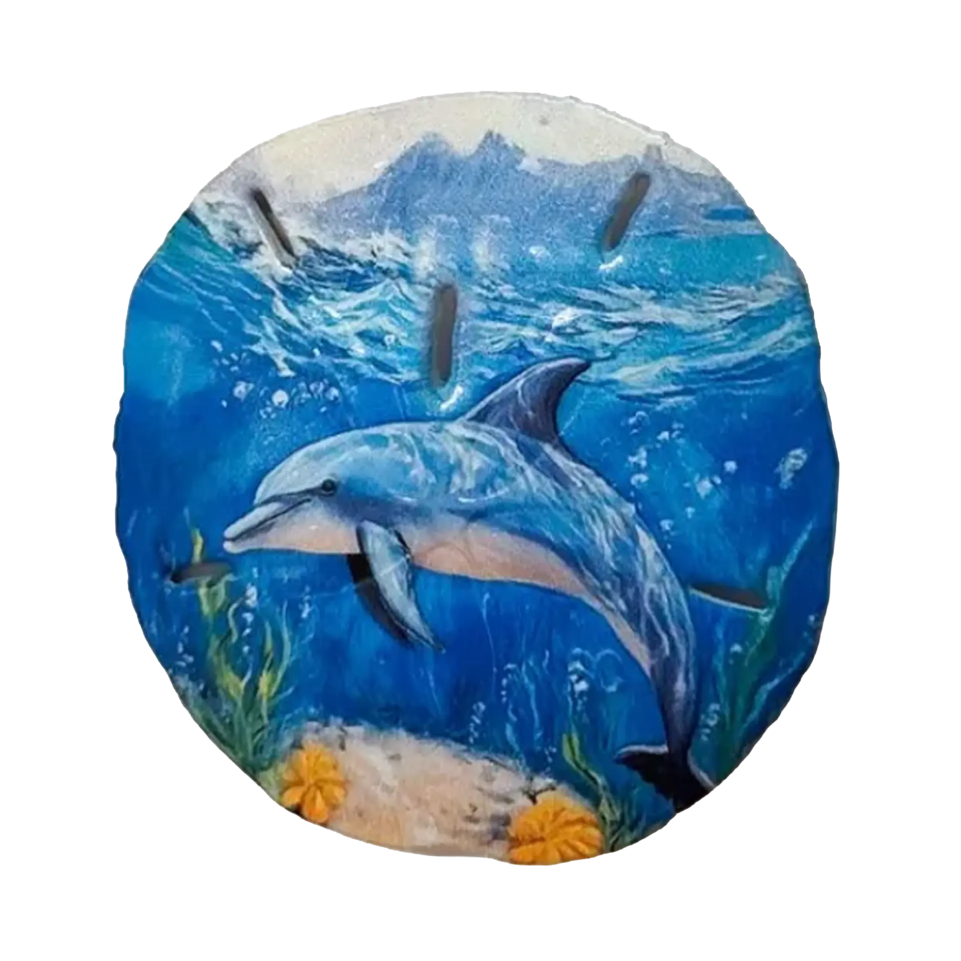 Florida Magnet - Sand Dollar